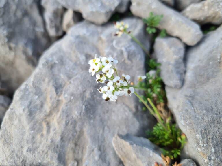 Accueil 1 20250706 092838