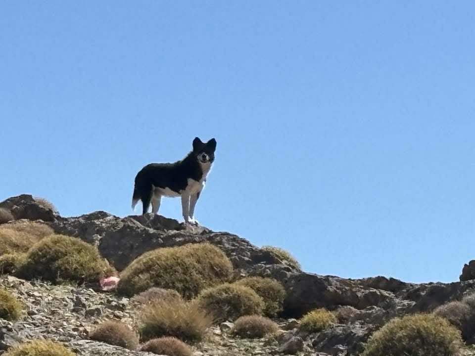 FB IMG 1761300146314