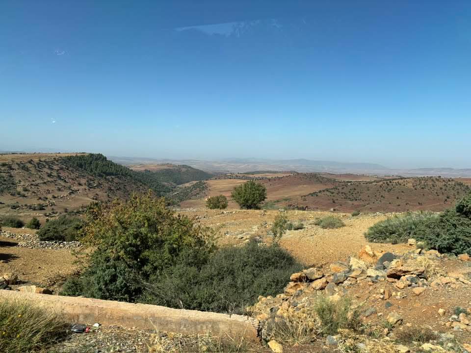 FB IMG 1761300171385