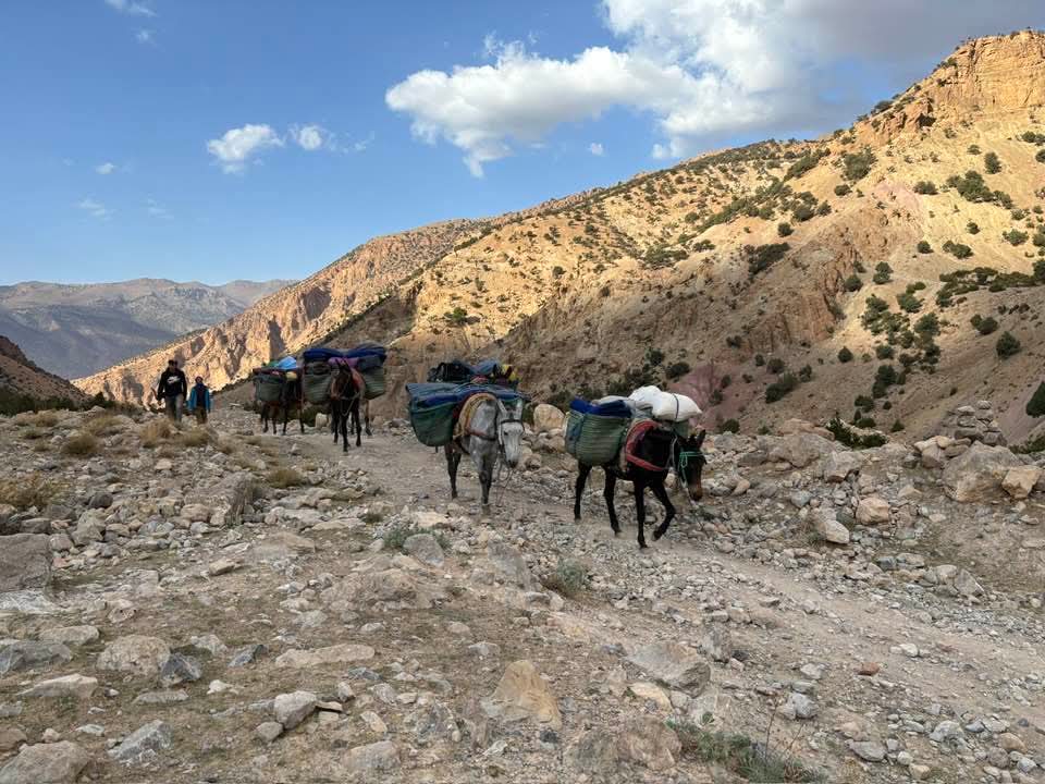 FB IMG 1761300267073