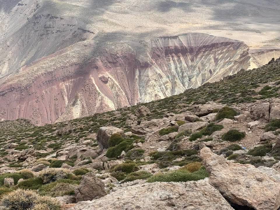 FB IMG 1761300311880