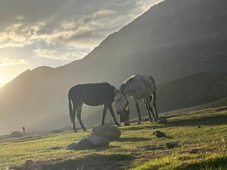 FB IMG 1761300333334