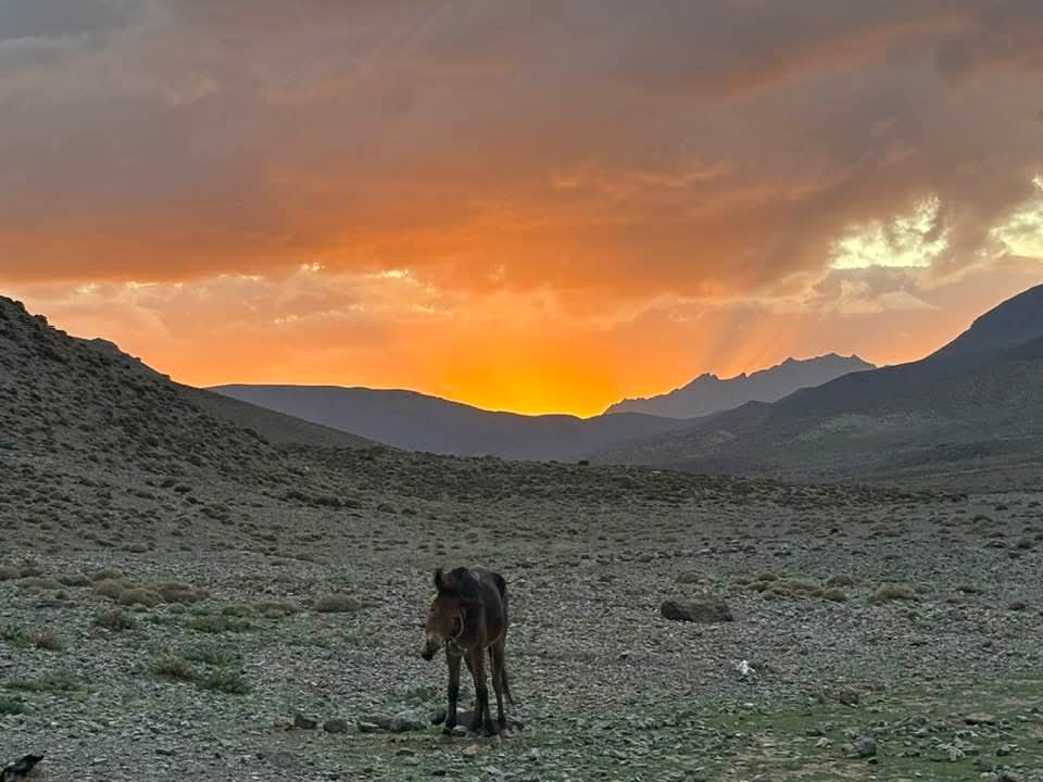 FB IMG 1761300451372