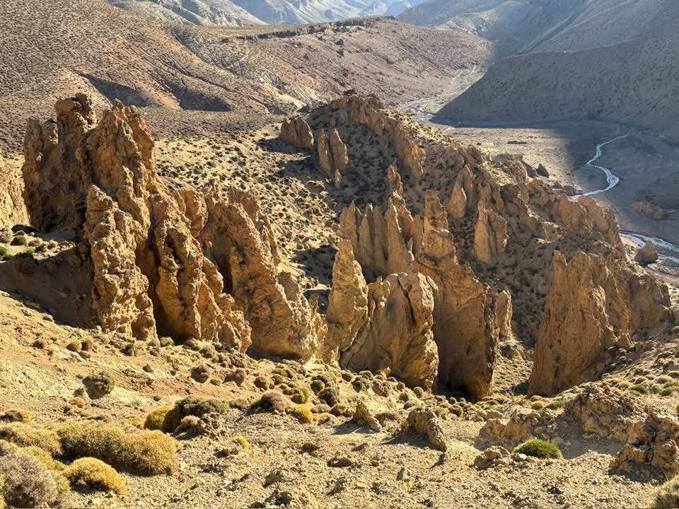 FB IMG 1761300531660