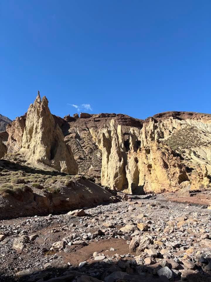 FB IMG 1761300541897