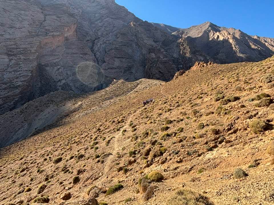 FB IMG 1761300545771