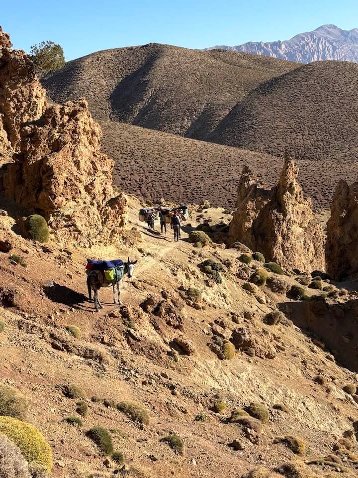 FB IMG 1761300551120