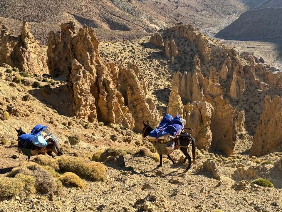 FB IMG 1761300562480