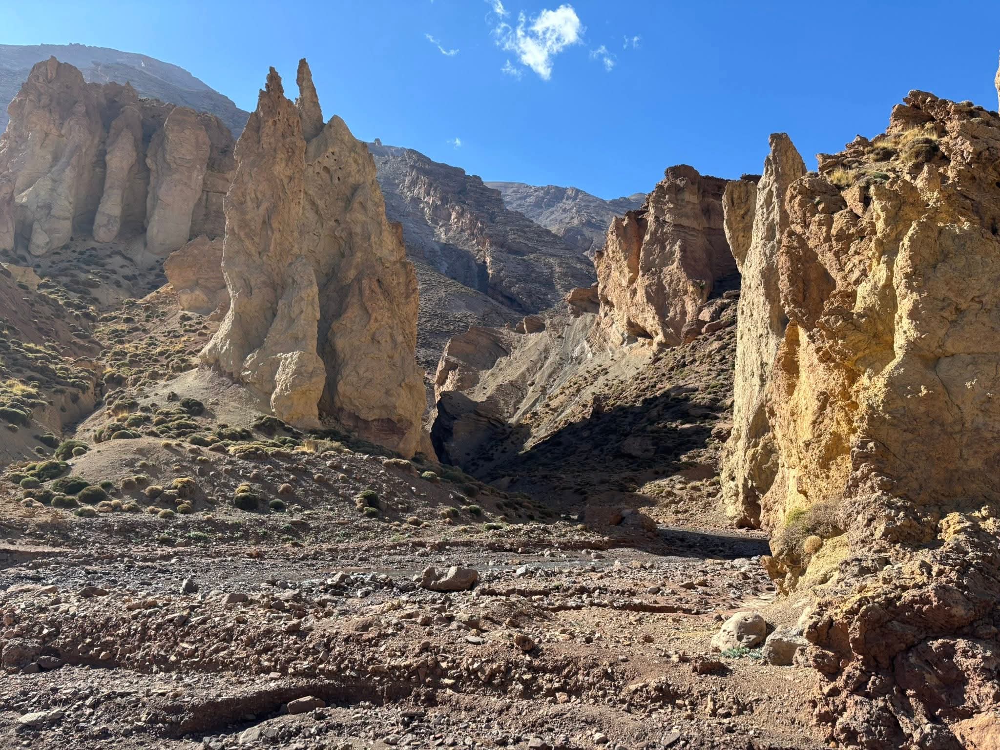 FB IMG 1761300612225