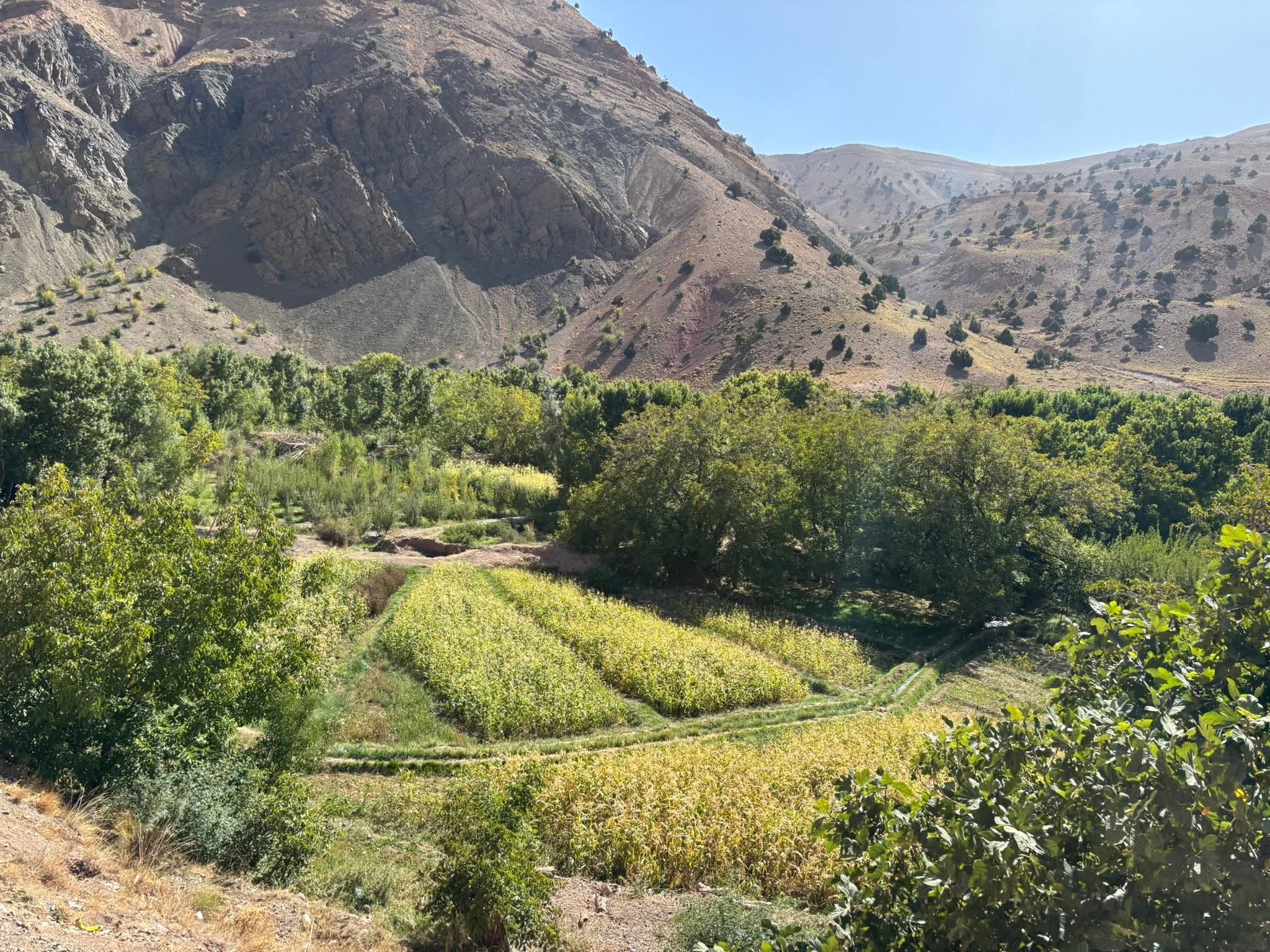 FB IMG 1761300659086