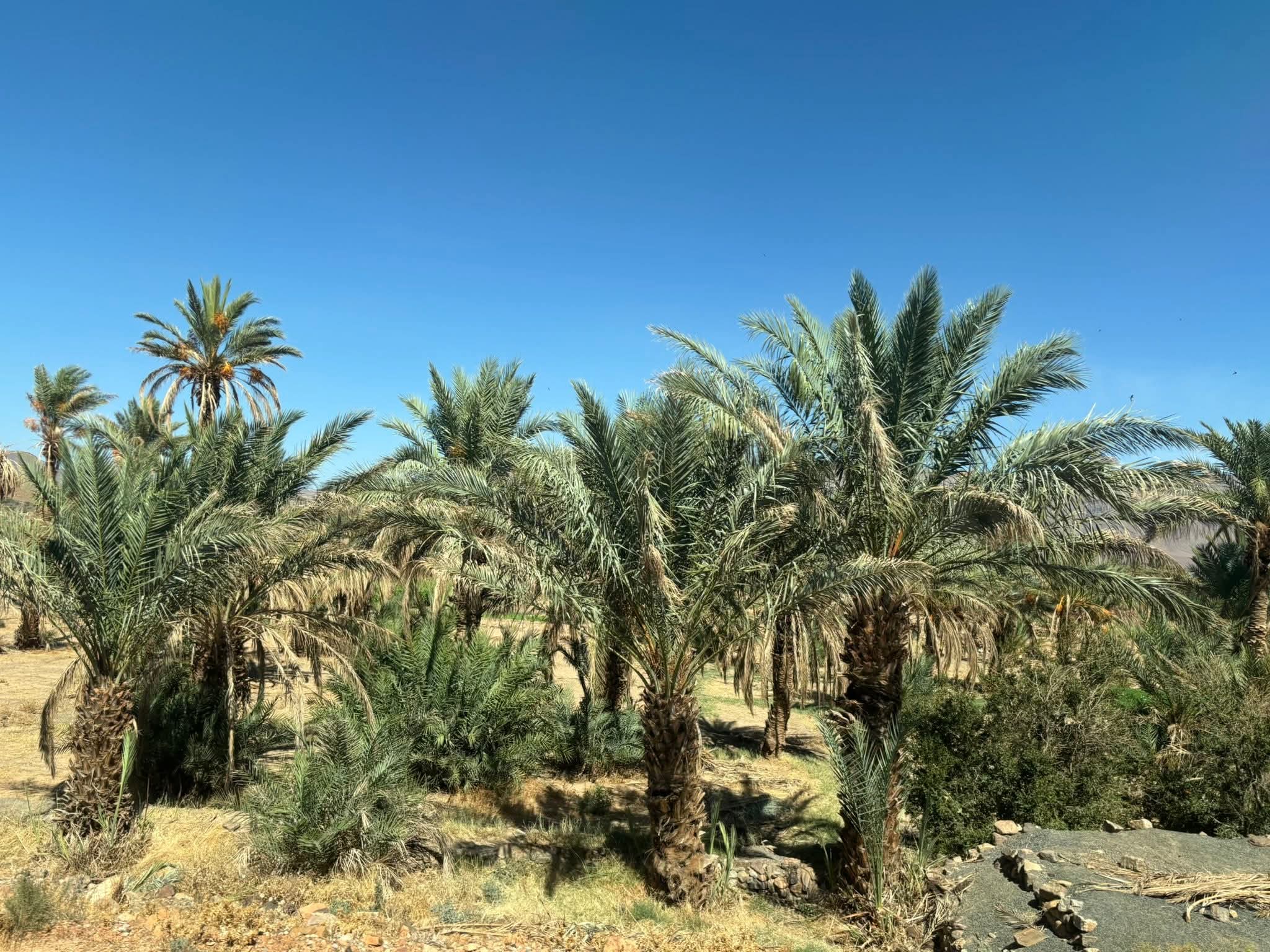 FB IMG 1761300838557