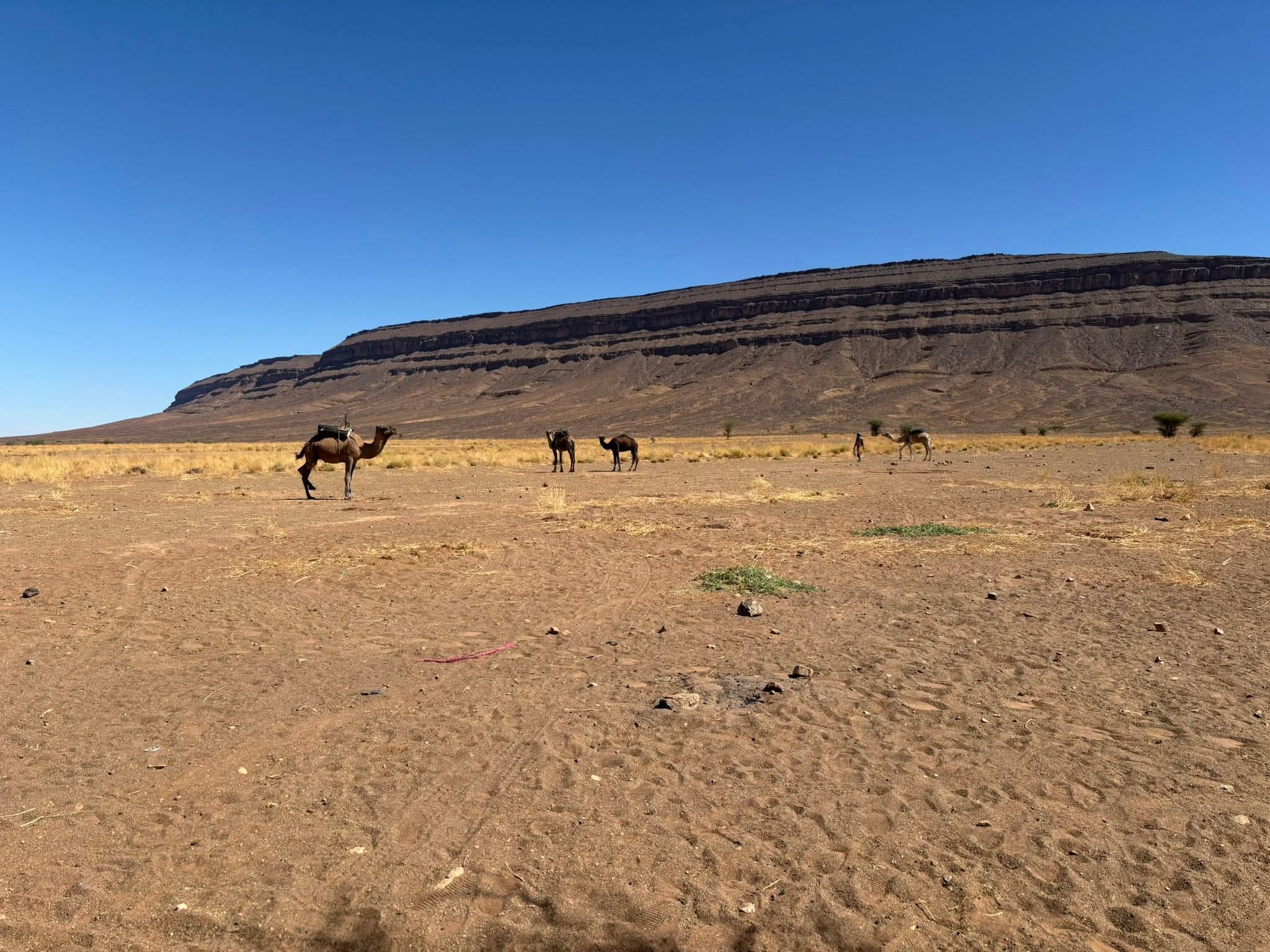 FB IMG 1761300860014