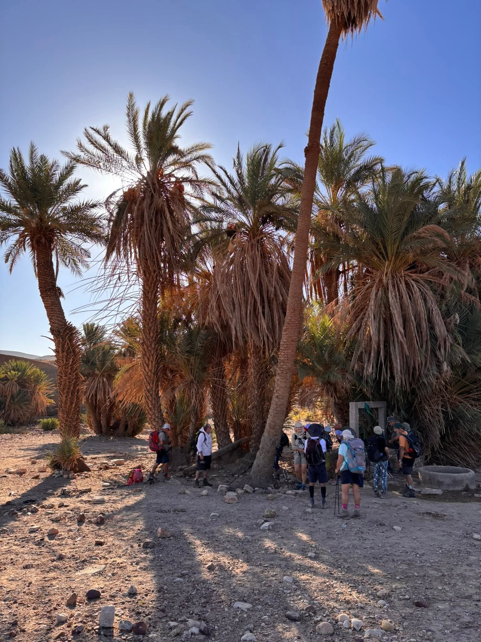 FB IMG 1761300881756