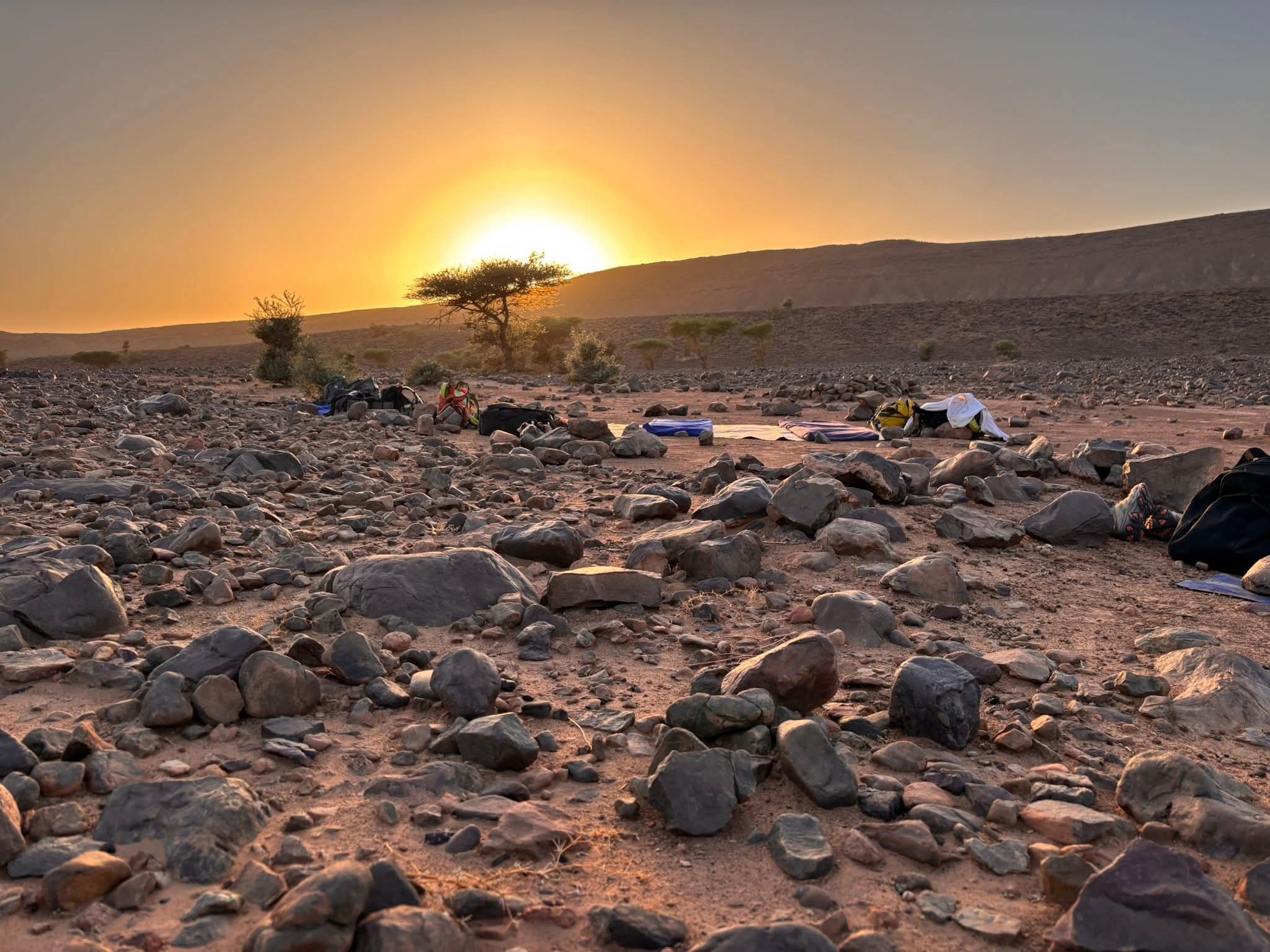 FB IMG 1761300981772