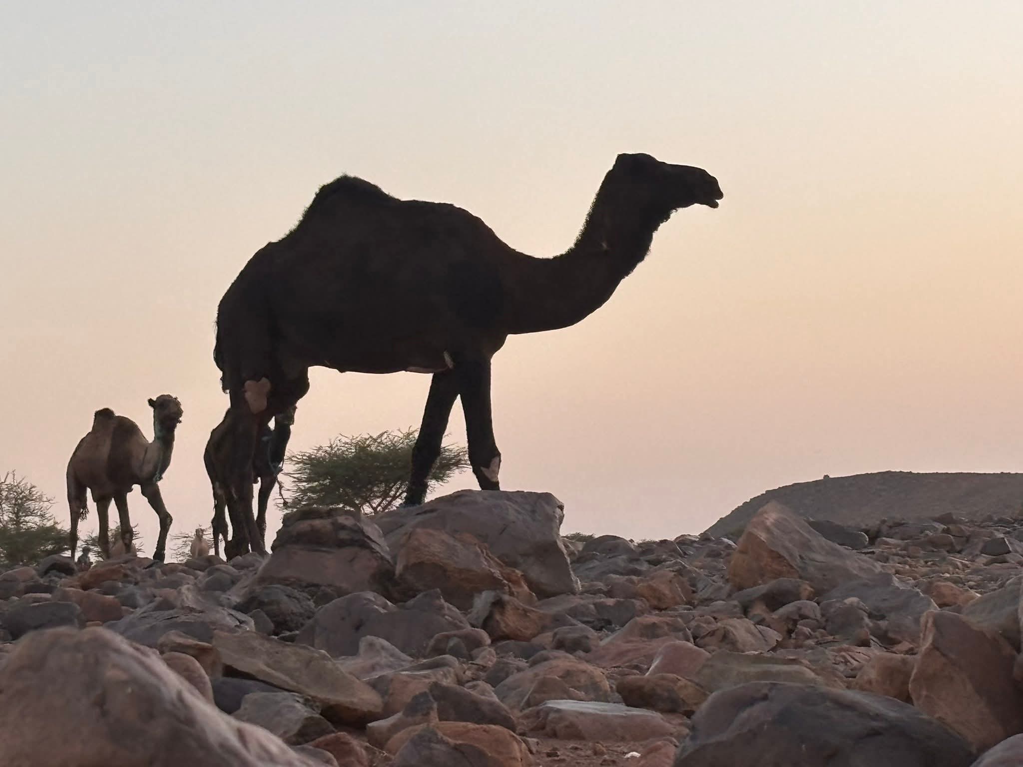 FB IMG 1761300985935