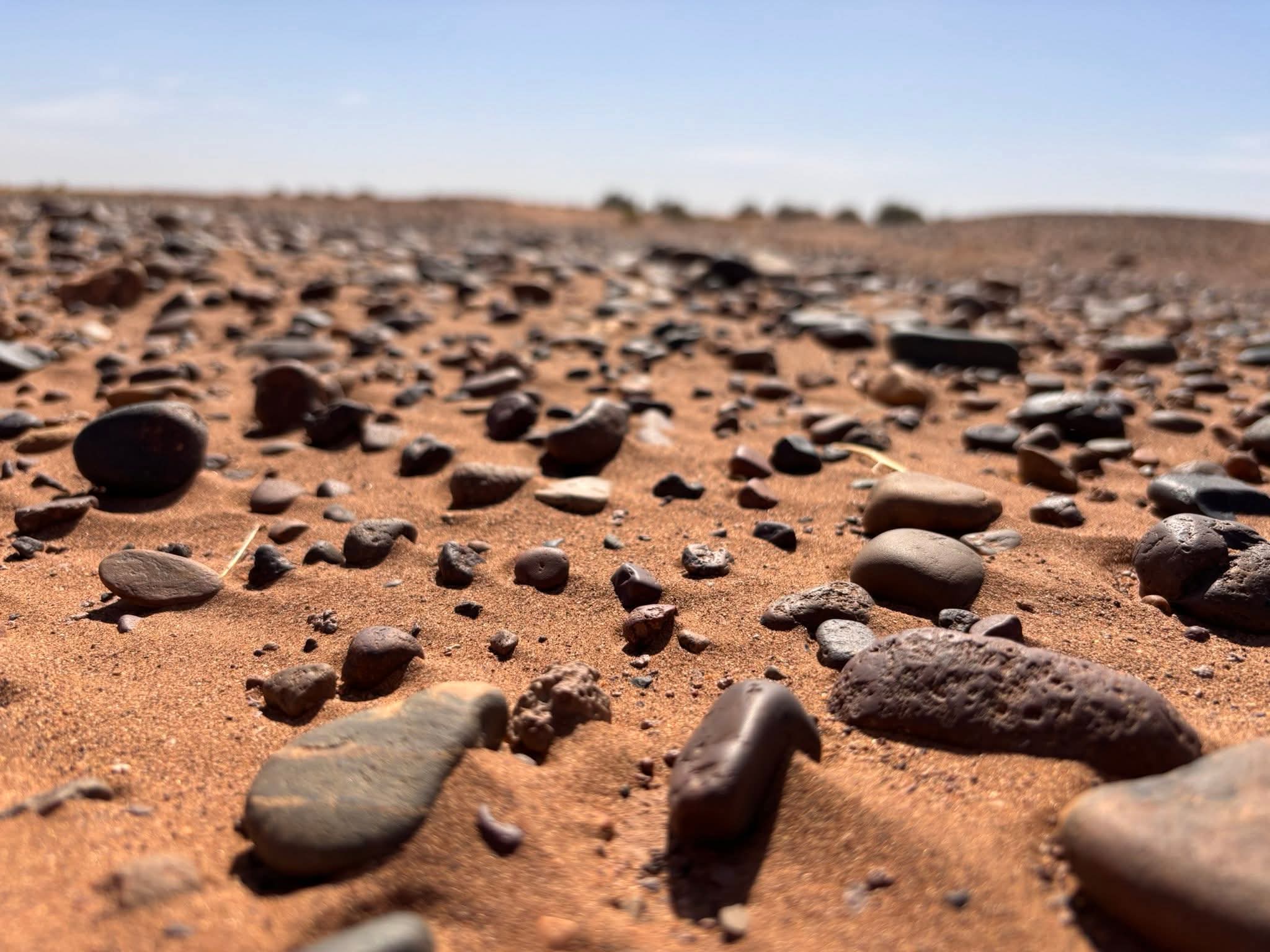 FB IMG 1761301116631