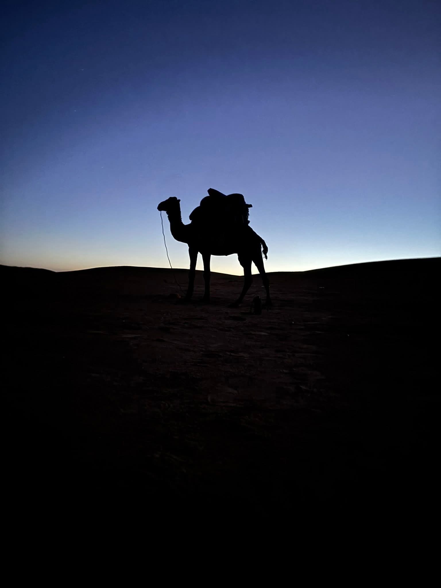 FB IMG 1761301182565