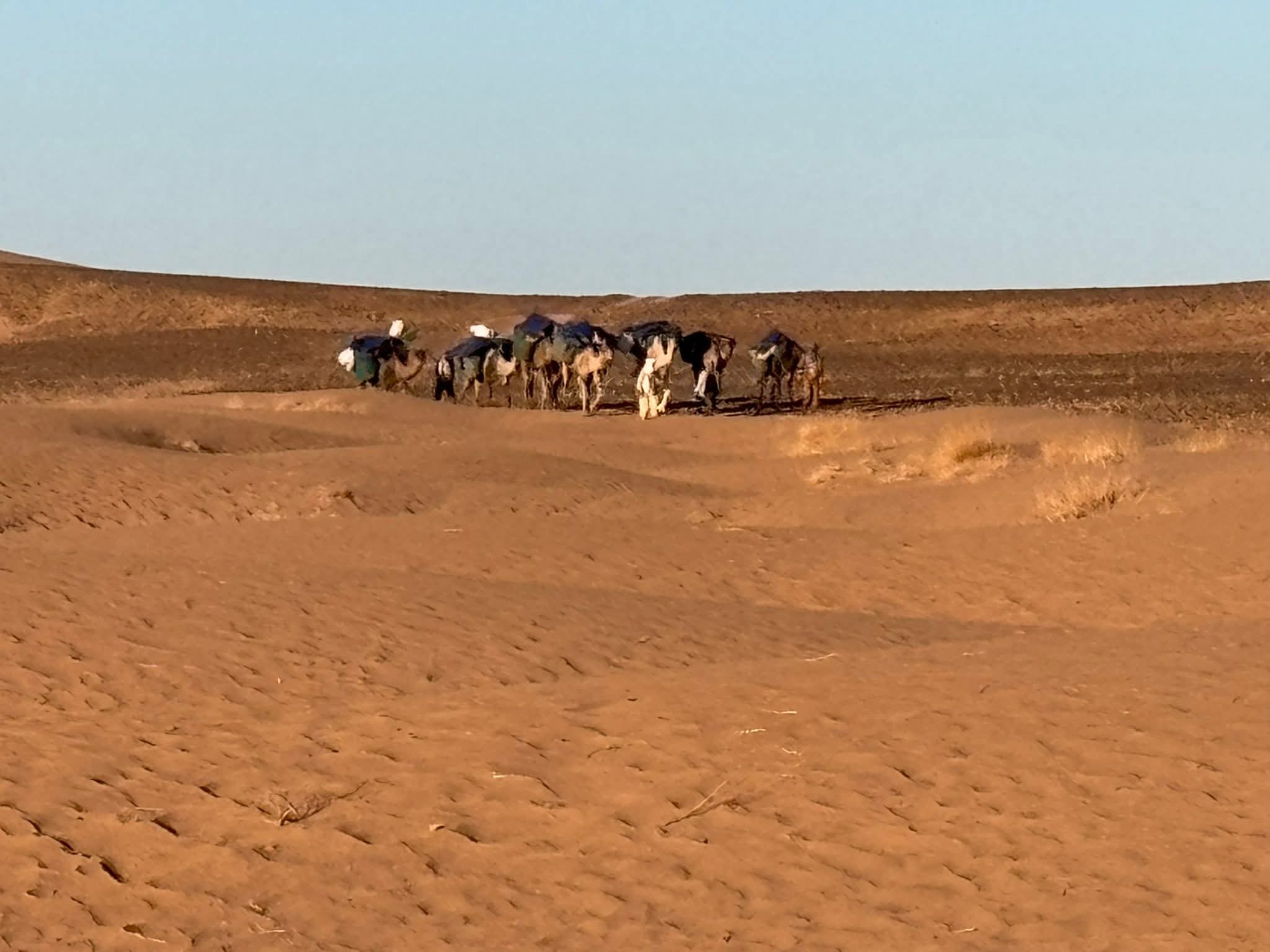 FB IMG 1761301203917