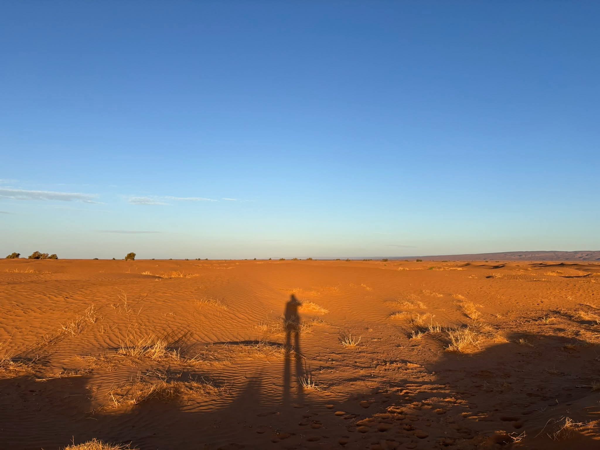 FB IMG 1761301275799