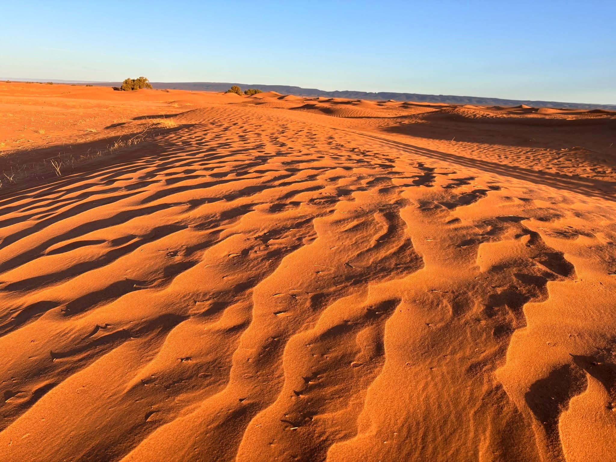 FB IMG 1761301280166