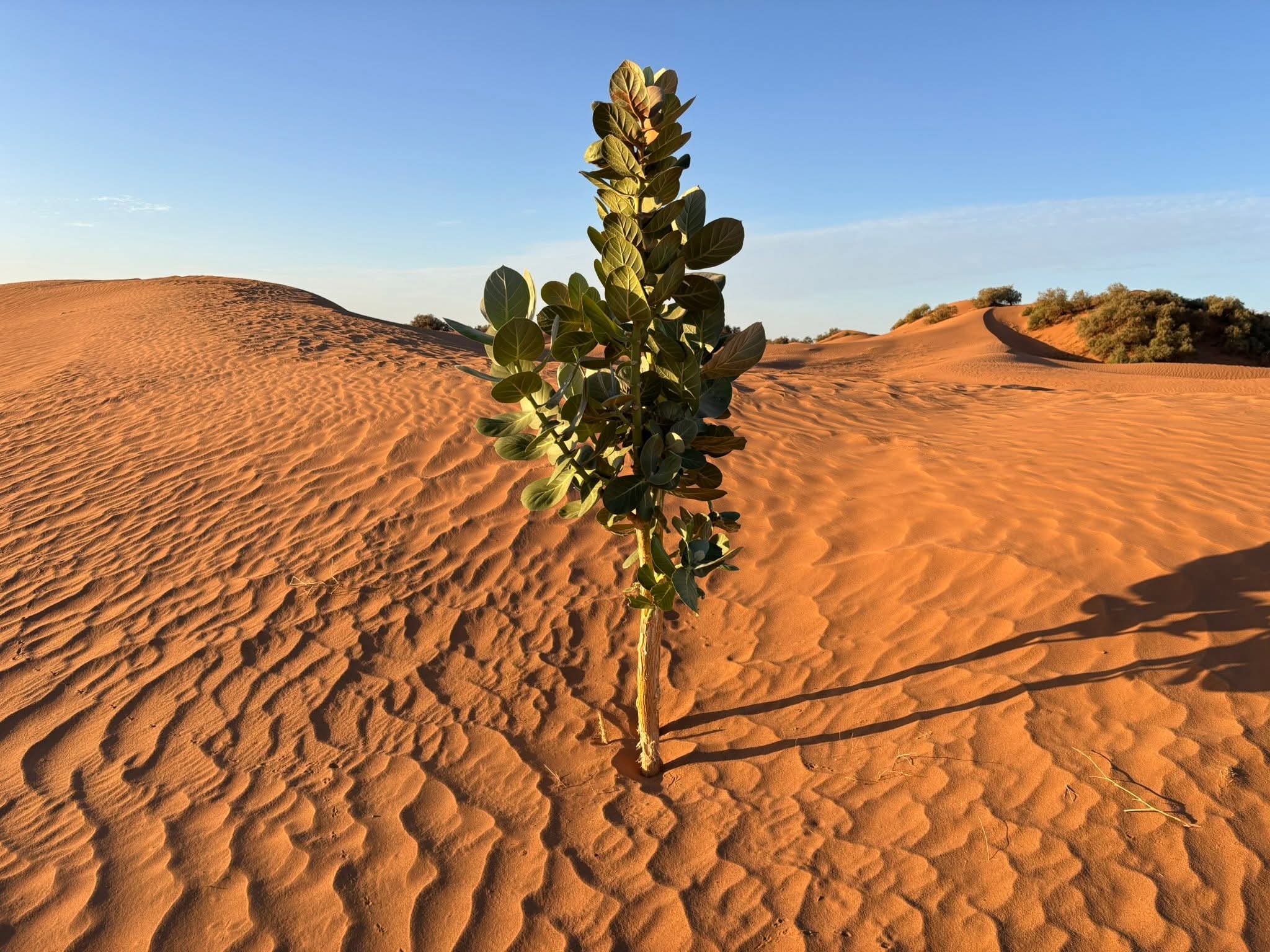 FB IMG 1761301284605