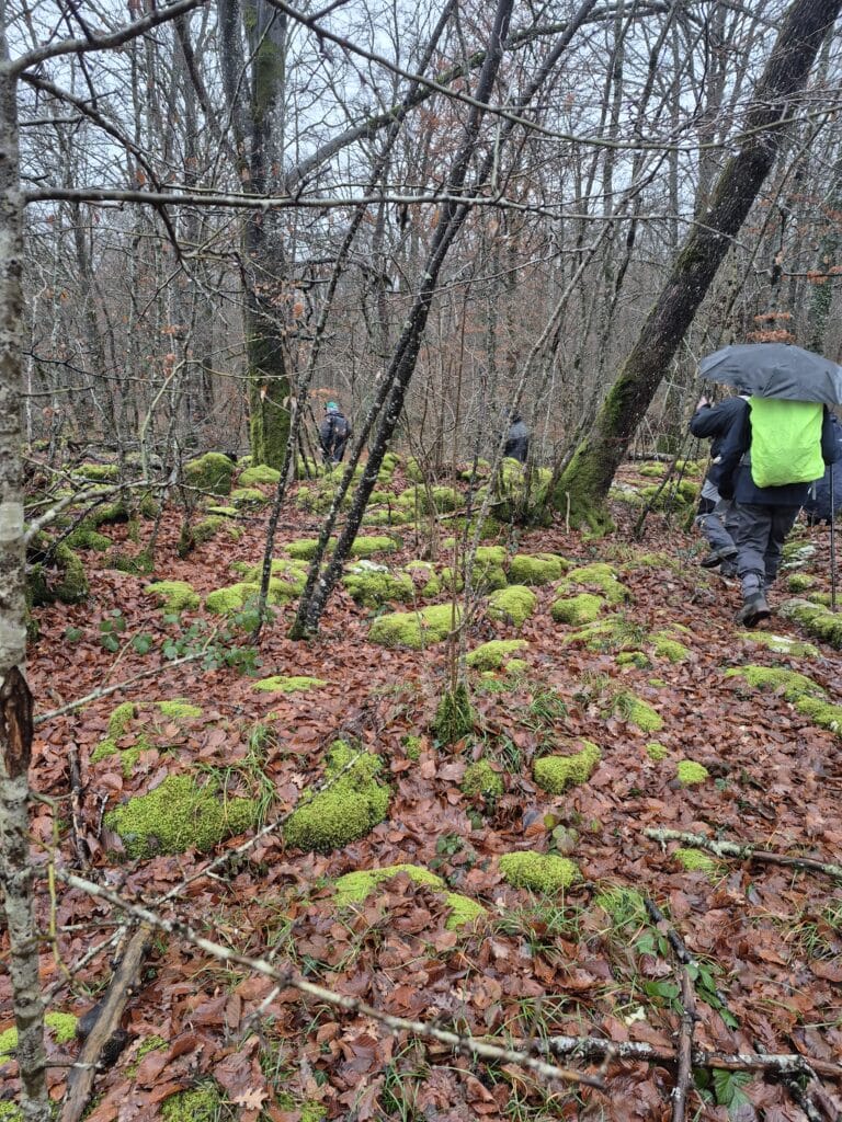 Randonnée et repas de fin d'année - 25 novembre 2025 6 20251125 103657