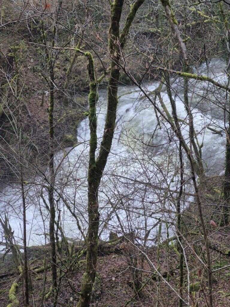 Randonnée et repas de fin d'année - 25 novembre 2025 8 20251125 104720