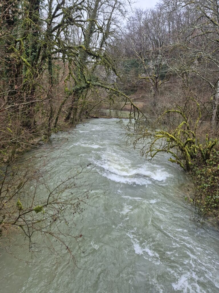 Randonnée et repas de fin d'année - 25 novembre 2025 9 20251125 110404