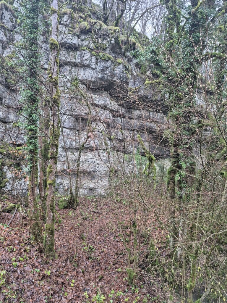 Randonnée et repas de fin d'année - 25 novembre 2025 10 20251125 110408