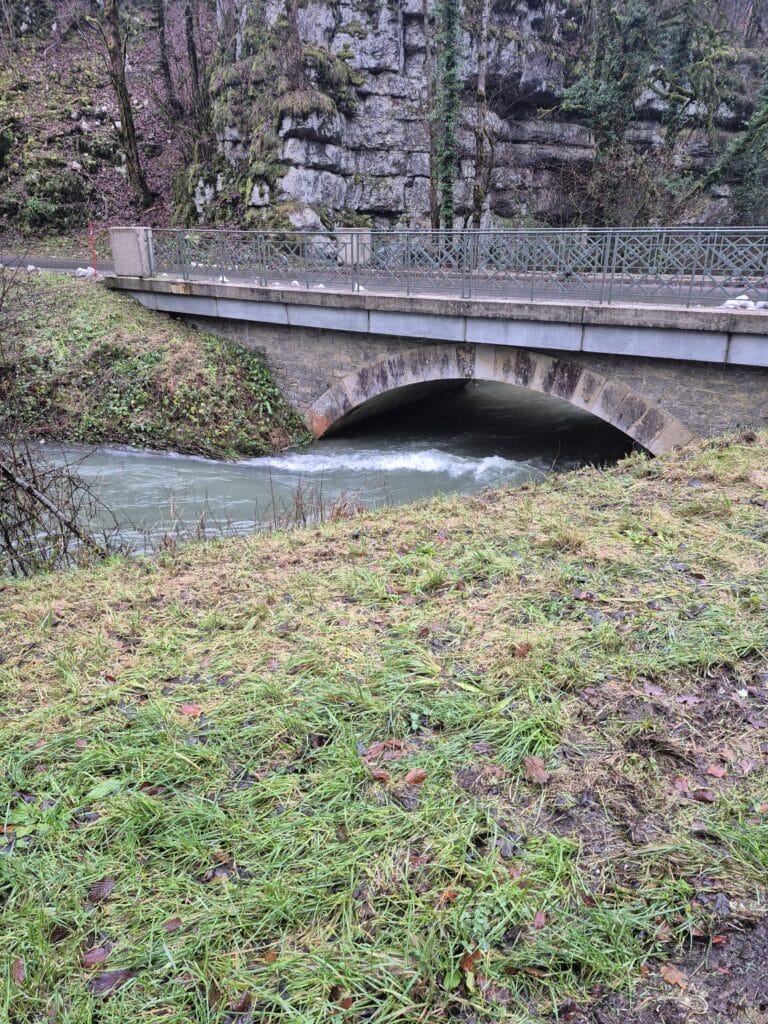 Randonnée et repas de fin d'année - 25 novembre 2025 11 20251125 110449