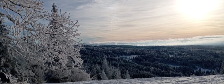 PHOTO 2026 01 12 17 46 37