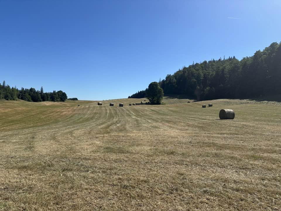 02-10 juillet 2026 : Grande Traversée du Jura 7 10