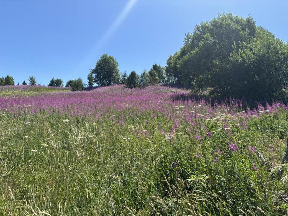 02-10 juillet 2026 : Grande Traversée du Jura 8 11