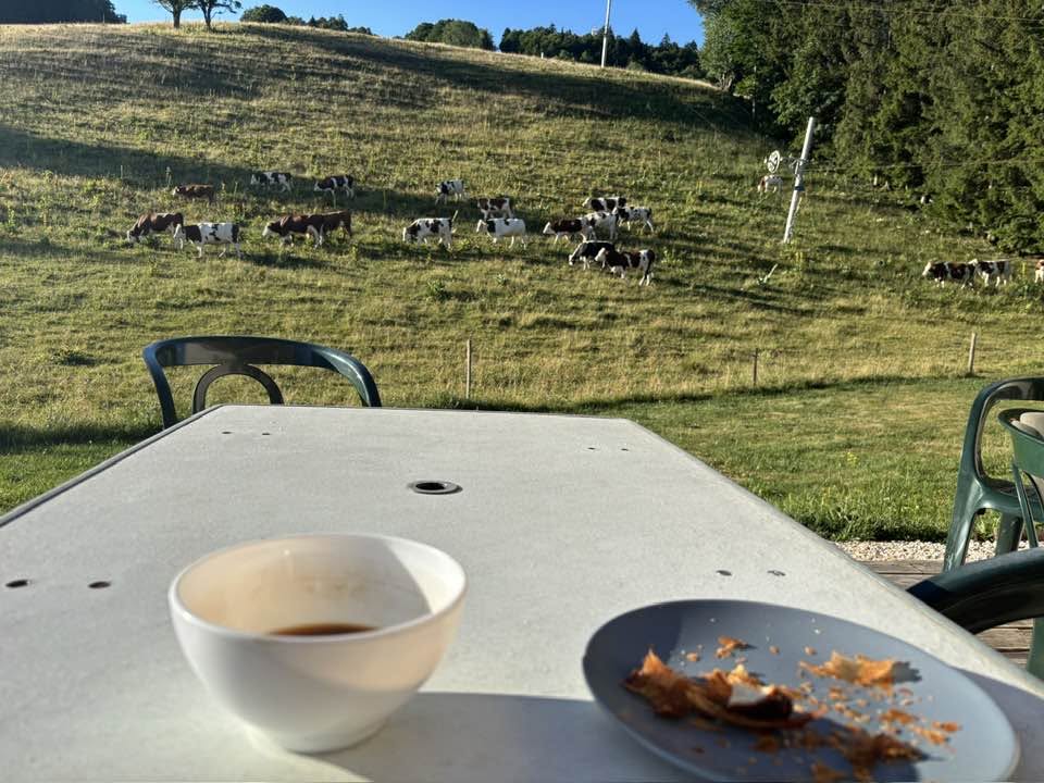 02-10 juillet 2026 : Grande Traversée du Jura 11 16