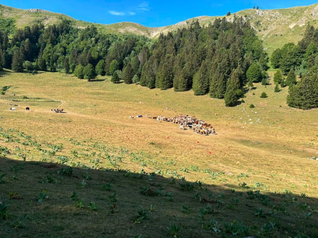 02-10 juillet 2026 : Grande Traversée du Jura 27 35 1