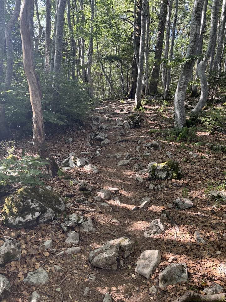 02-10 juillet 2026 : Grande Traversée du Jura 51 59
